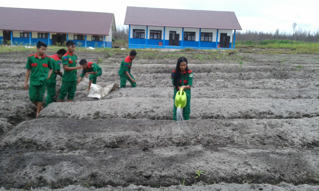 07smk paku.jpg